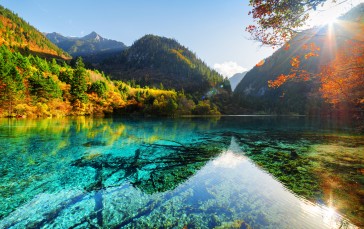 Lake, Autumn, Scenic, Trees Wallpaper