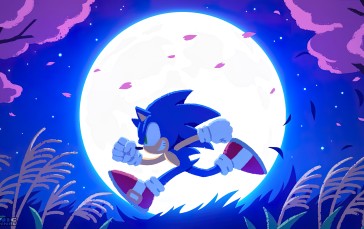 Sonic, Sonic the Hedgehog, Anthro, Video Game Art, Video Game Characters Wallpaper