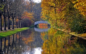 River, Bridge, Autumn, Trees Wallpaper