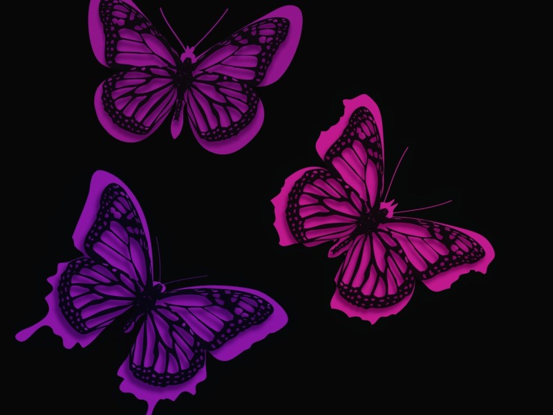 Butterflies, Design, Artwork, Vector, Animals Wallpaper