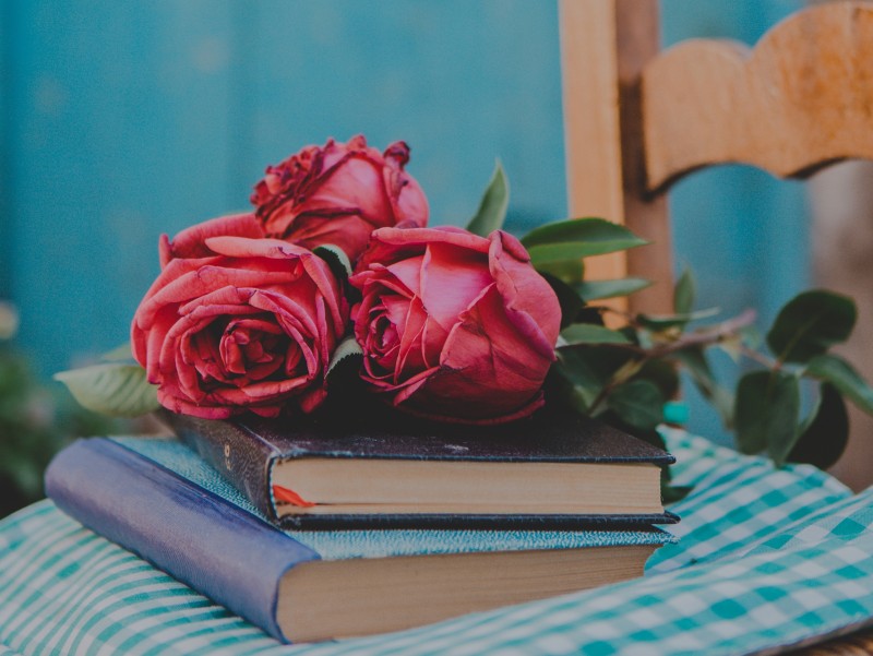 Pink Roses, Dry, Books, Petals, Flowers Wallpaper