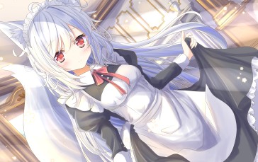 Cute Anime Girl, Maid Girl, Headdress, White Hair, Anime Wallpaper