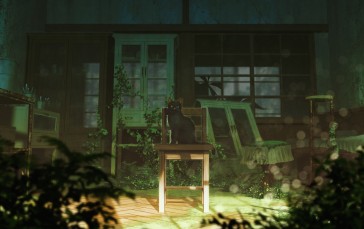 Anime Room, Ruins, Cat, Scenic, Neko, Chair Wallpaper