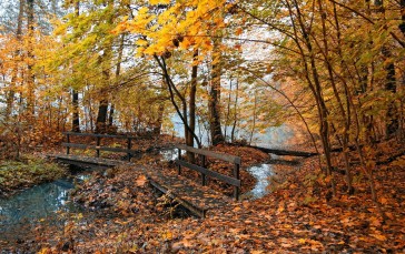 Bridge, Fall, Leaves, River Wallpaper