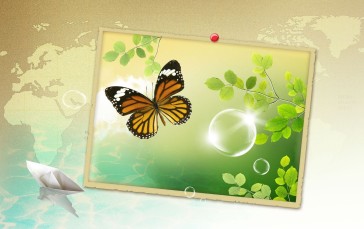 Nature, Butterfly, Insect, Bubbles Wallpaper