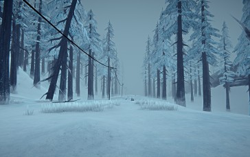 The Long Dark, Screen Shot, Snow, Survival Wallpaper