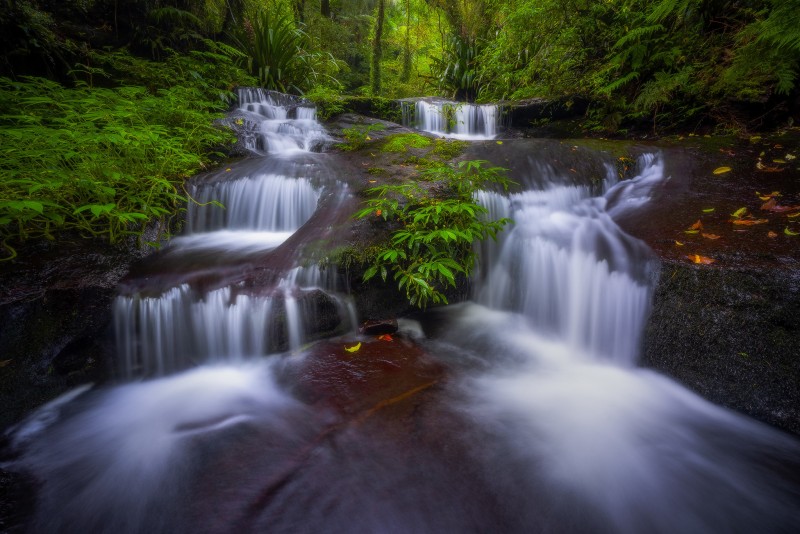 Waterfall, Forest, Nature Wallpaper