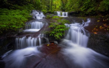 Waterfall, Forest, Nature Wallpaper