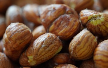Chestnut, Macro, Nuts Wallpaper