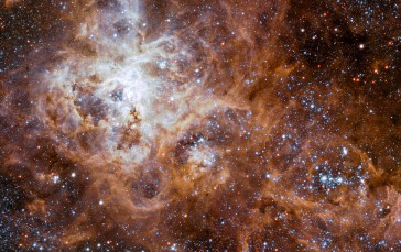 Space, Stars, Galaxy, Nebula Wallpaper