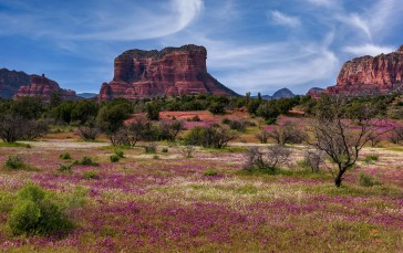 Nature, Landscape, USA, Arizona Wallpaper
