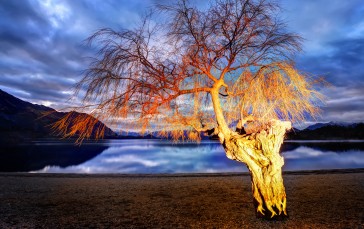 Trey Ratcliff, Photography, Landscape, 4K, Nature, Trees Wallpaper
