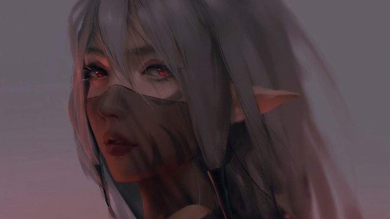 Veils, Red Eyes, Pointy Ears, Looking at Viewer, Gray Hair Wallpaper