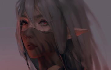 Veils, Red Eyes, Pointy Ears, Looking at Viewer, Gray Hair Wallpaper