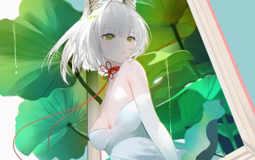 Cat Girl, White Hair, Omone Hokoma Agm, Anime Girls Wallpaper