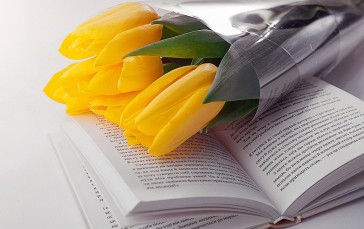 Flowers, Tulips, Books, Ukrainian Wallpaper