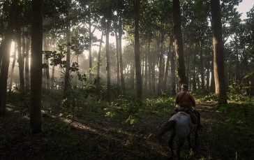 Red Dead 3, Forest, Red Dead Redemption 2, Trees, Leaves Wallpaper