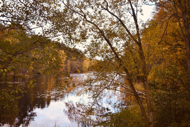 Nature, Fall, Trees, Leaves, River Wallpaper