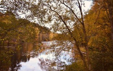 Nature, Fall, Trees, Leaves, River Wallpaper