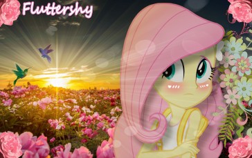 Flowers, Sunset, My Little Pony, Fluttershy, Edit Wallpaper