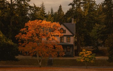 House, Trees, Pine Trees, Fall, Outdoors Wallpaper