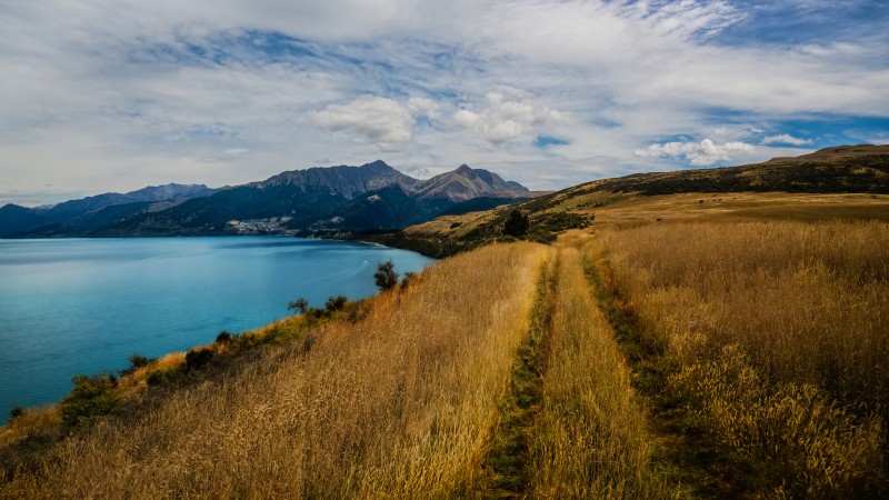 4K, Landscape, New Zealand, Nature Wallpaper