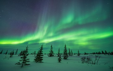 Canada, Landscape, Winter, Snow, Pine Trees, Aurorae Wallpaper