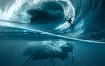 Nature, Waves, Sea, Surfers, Underwater Wallpaper