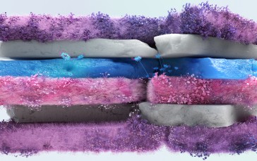 Prideflag, Colorful, Digital Art, CGI, Flowers Wallpaper