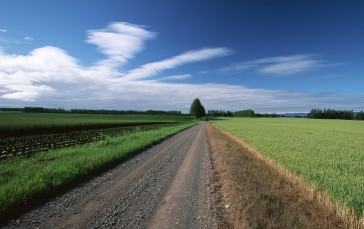 Road, Field, Clouds, Sky Wallpaper