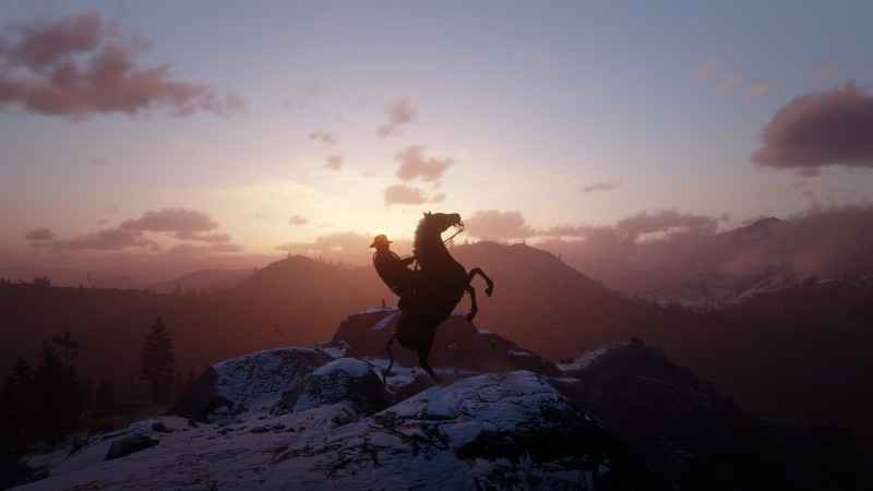 Red Dead Redemption 2, Horse, Video Games, Video Game Characters Wallpaper