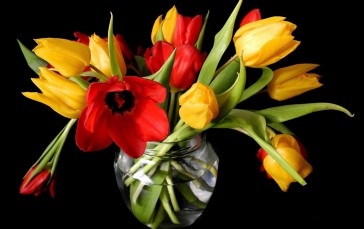 Bouquet, Flowers, Tulips, Black Background Wallpaper