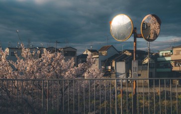 Cherry Blossom, Town, Trees, Sky Wallpaper