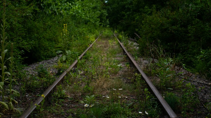 Railway, Overgrown, Abandoned, Green Wallpaper