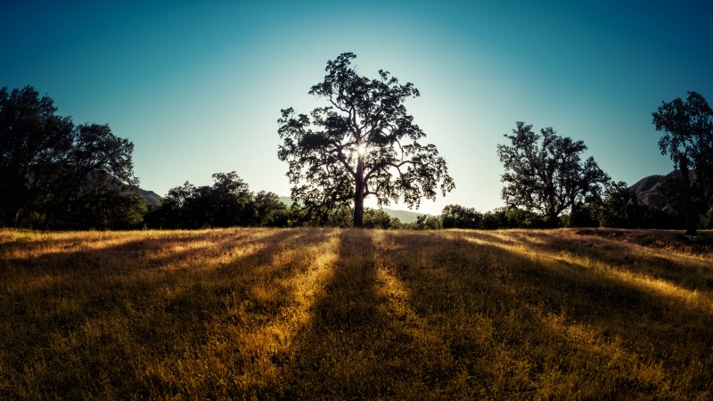 Trey Ratcliff, 4K, Photography, California Wallpaper