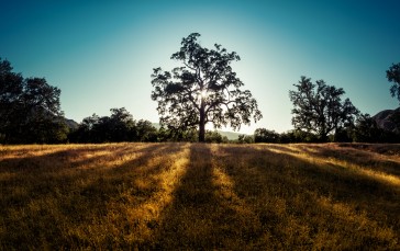 Trey Ratcliff, 4K, Photography, California Wallpaper