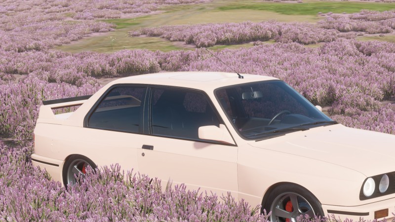 BMW, Forza, Flowers, Pink Cars Wallpaper