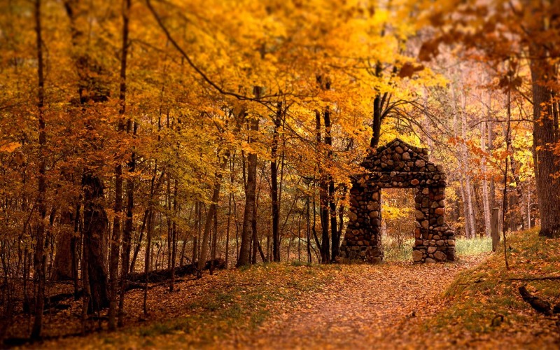 Fall, Leaves, Ruins, Nature Wallpaper