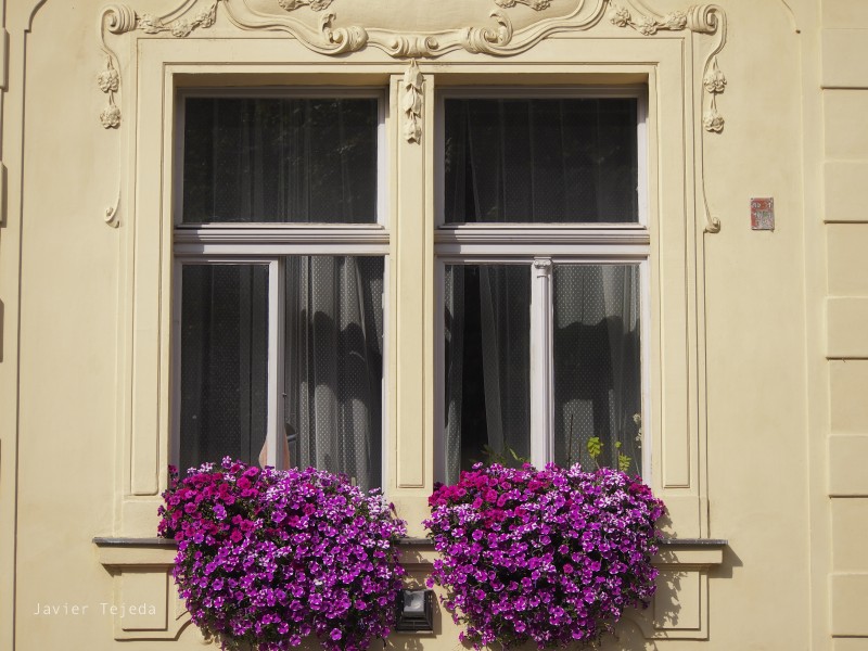 Czech, Building, Flowers, Window Wallpaper