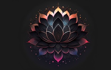 Lotus Flowers, Flowers, Minimalism Wallpaper