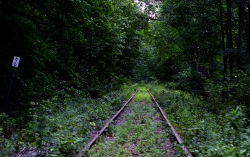 Railway, Overgrown, Abandoned, Green Wallpaper