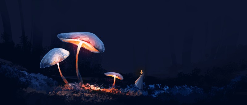 Anime Girls, Mushroom, Plants, Night Wallpaper