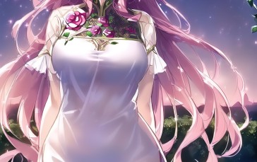 Anime, Anime Girls, Fate Series, Fate/Grand Order Wallpaper