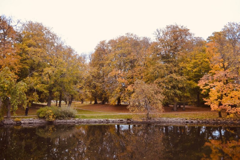 Seasons, Gothenburg, Nature, Trees, Water Wallpaper