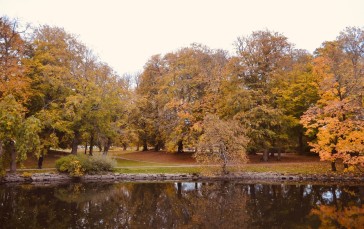 Seasons, Gothenburg, Nature, Trees, Water Wallpaper