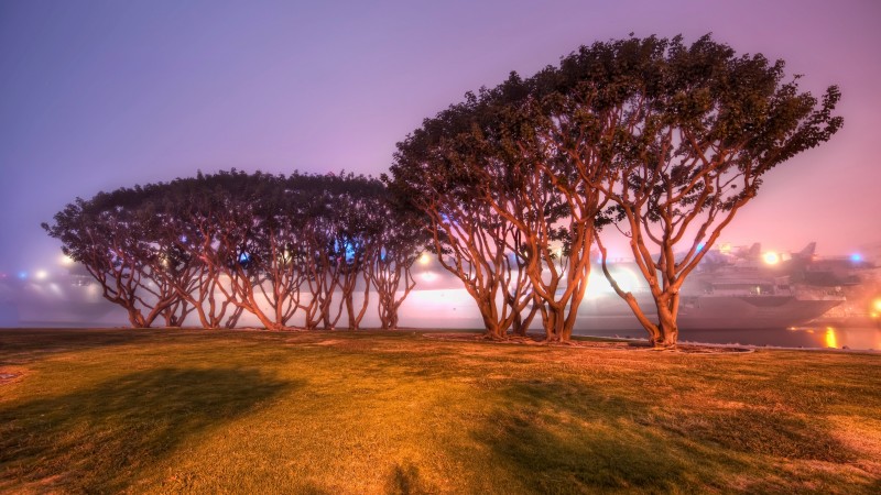 Trey Ratcliff, 4K, Photography, California, Trees Wallpaper