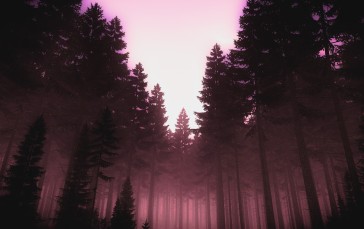 DayZ, Trees, Forest, Video Games, Nature Wallpaper