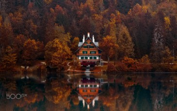 Landscape, Slovenia, Lake Bled, Forest, 500px Wallpaper