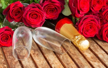 Champagne, Drink, Rose, Wine Glass Wallpaper