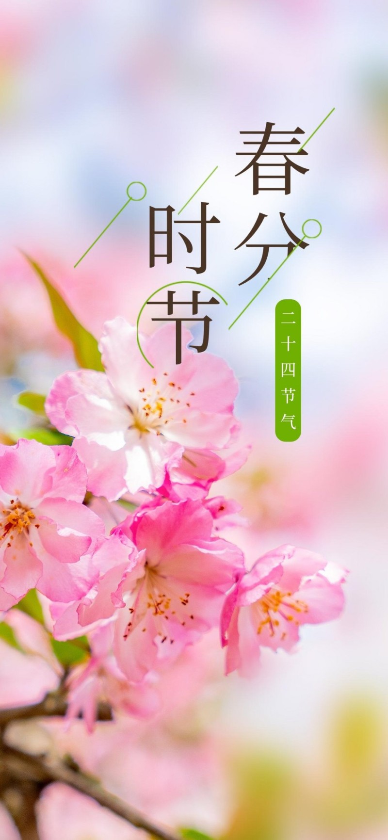 Nature, Seasons, Flowers, Portrait Display, Chinese Wallpaper